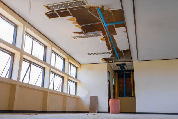 Best 24/7 water damage repair  in Quinnesec, MI