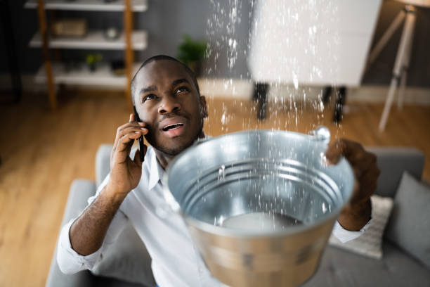 Best Water damage restoration mold remediation  in Quinnesec, MI