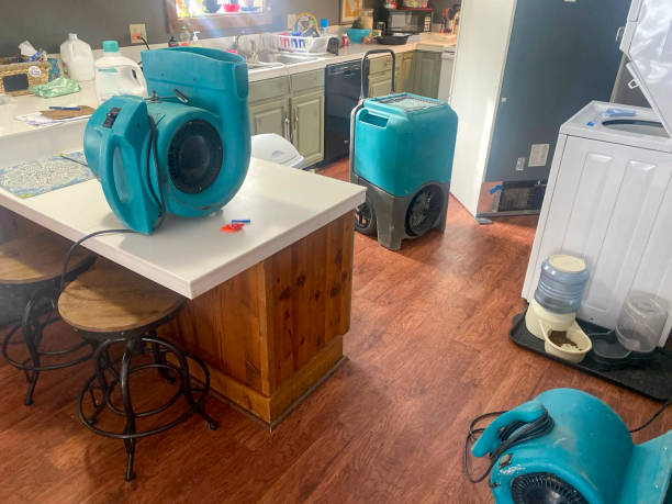 Best Commercial water damage restoration  in Quinnesec, MI