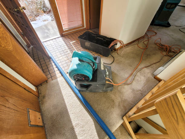 Best Local water damage restoration  in Quinnesec, MI