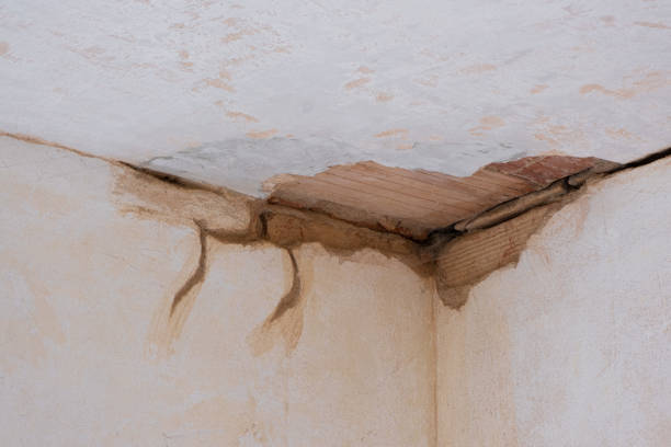 Best Ceiling water damage repair  in Quinnesec, MI