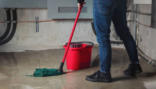 Best Emergency water damage restoration  in Quinnesec, MI