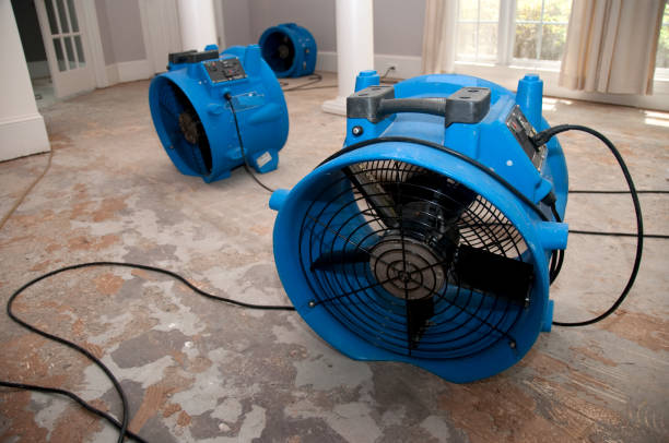 Best Professional water damage repair  in Quinnesec, MI