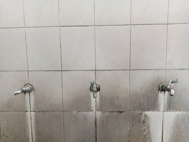 Best Water damage restoration near me  in Quinnesec, MI