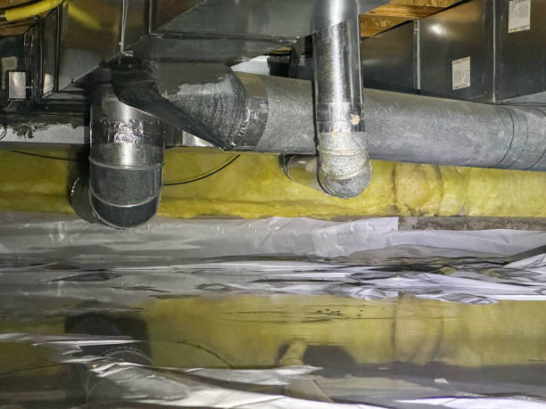 Best Flood damage cleanup  in Quinnesec, MI