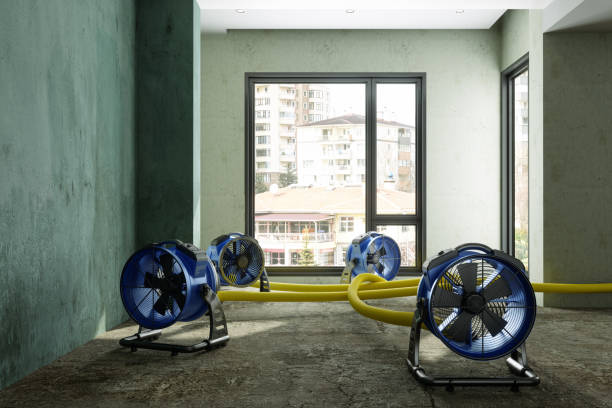 Professional Water damage restoration in MI